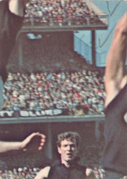 1969 Scanlens VFL #34 Sam Kekovich Back